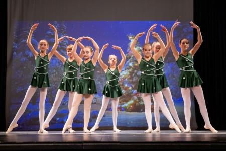 Labodi Postojna- O smrečica- 11.12.2022 - Valter Leban-6641